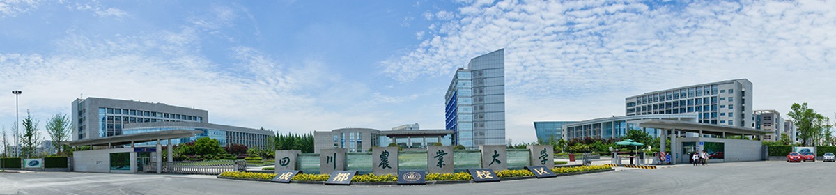 英国上市公司365